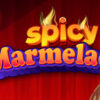 SpicyM – 14.06 – Team Info