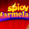 SpicyM – 19.07 – Team Info